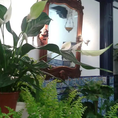 Angeles Apartamento